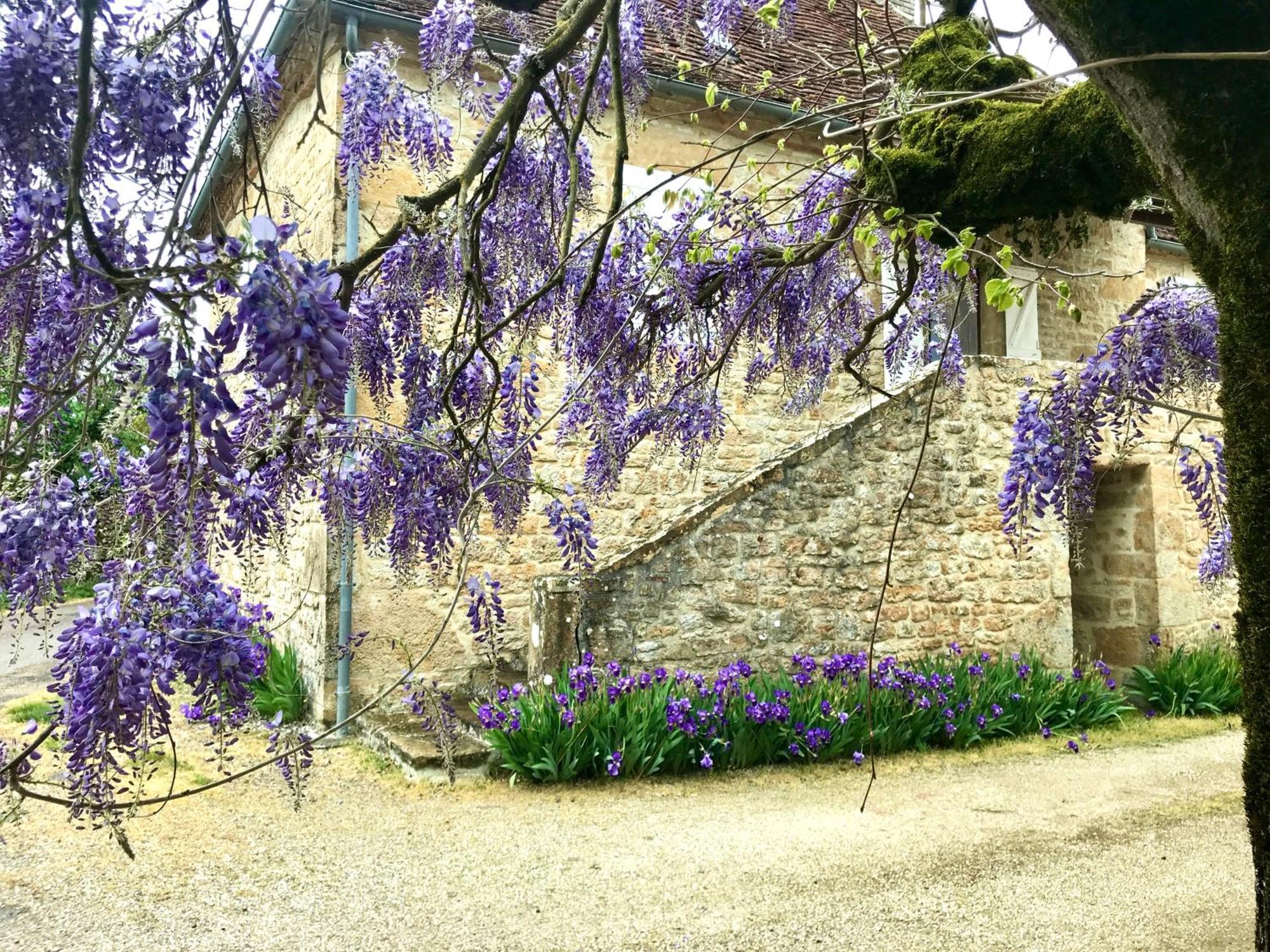 Manoir De Rieuzal Bed & Breakfast Loubressac Exterior foto