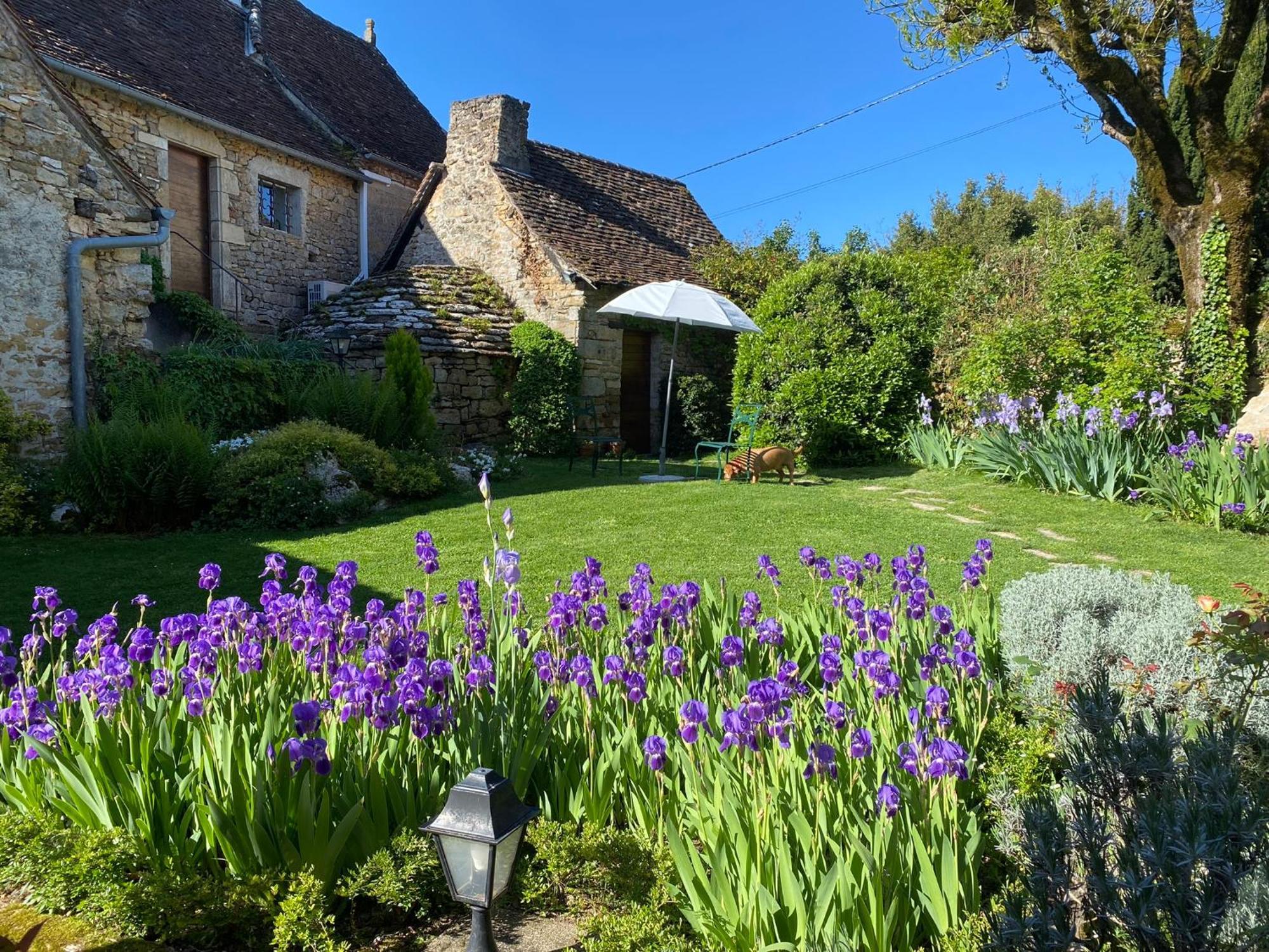 Manoir De Rieuzal Bed & Breakfast Loubressac Exterior foto